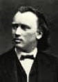 Johannes Brahms in 1876